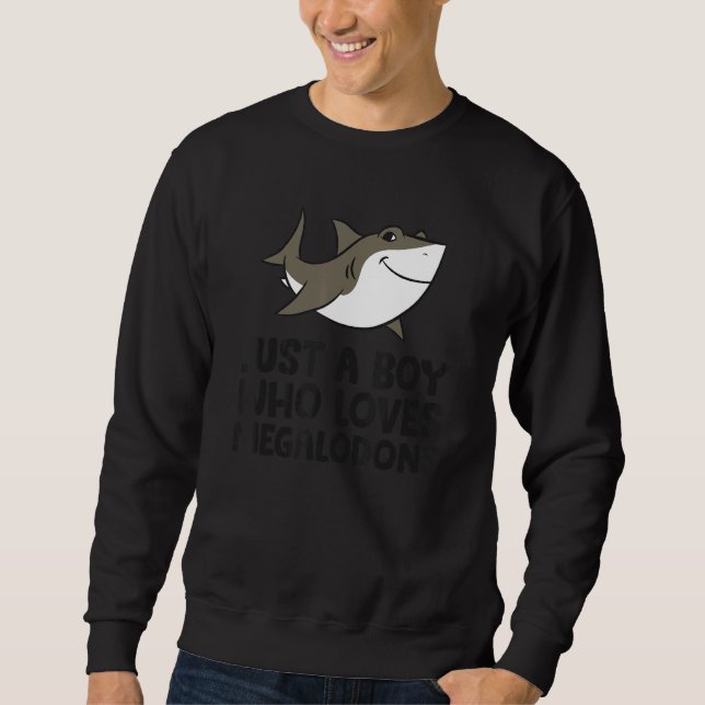 Just a Boy Who Loves Megalodons Cute Megalodon Sha Sweatshirt (Front)