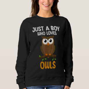 Just A Boy Who Loves Owls For Toddlers Boys Kids B Sweatshirt