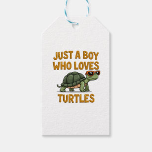 Just a boy who loves turtles Children boy (2) Gift Tags