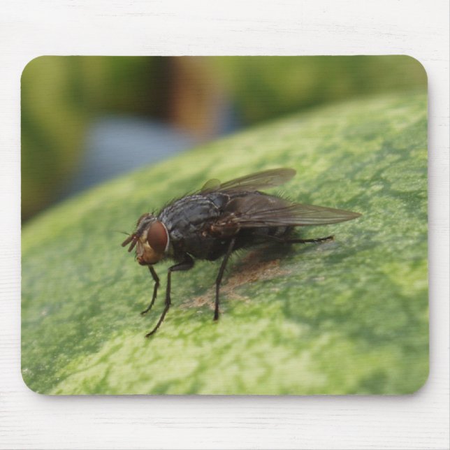 Just a Crazy Image Mouse Pad (Front)