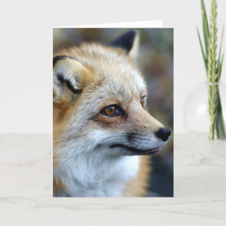 Just a cute little Fox Card