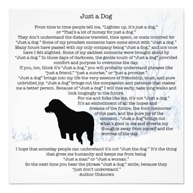 Just A Dog Quote - Black Labrador Photo Print (Front)