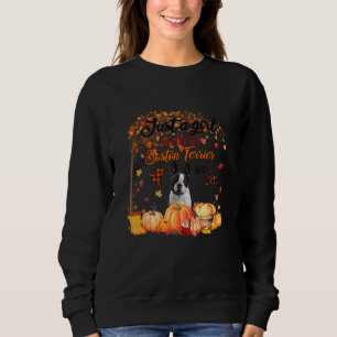 Just A Girl Who Loves Fall And Boston Terrier Dog Sweatshirt