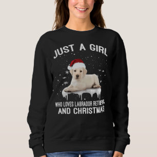 Just A Girl Who Loves Labrador Retriever And Chris Sweatshirt