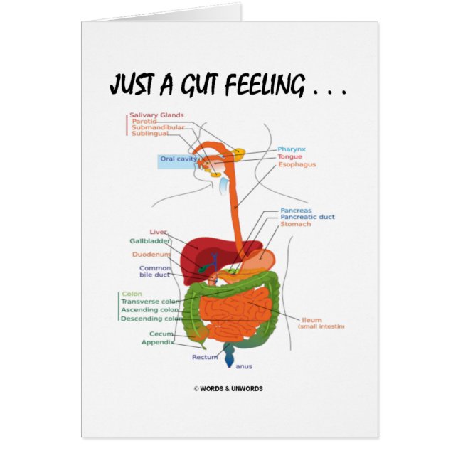 Just A Gut Feeling... (Digestive System Humour) (Front)