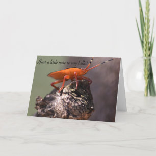 Just a little note to say hello! card