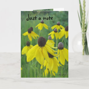 Just a Note Card/Yellow Coneflowers Card