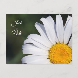 Just a Note Offset Daisy Postcard