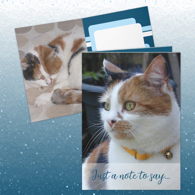 Just a note to say 3 cat photos blue card (Creator Uploaded)