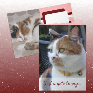 Just a note to say 3 cat photos burgundy card