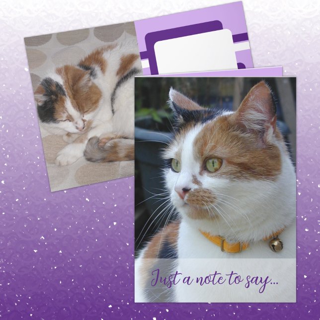 Just a note to say 3 cat photos purple card (Creator Uploaded)