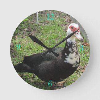 Just a Qwack in Time Round Clock