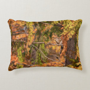 Just A Squirrel In The Woods Decorative Cushion