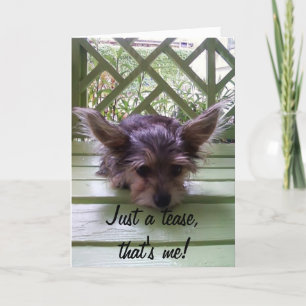 JUST A TEASE ON YOUR "40th" Card