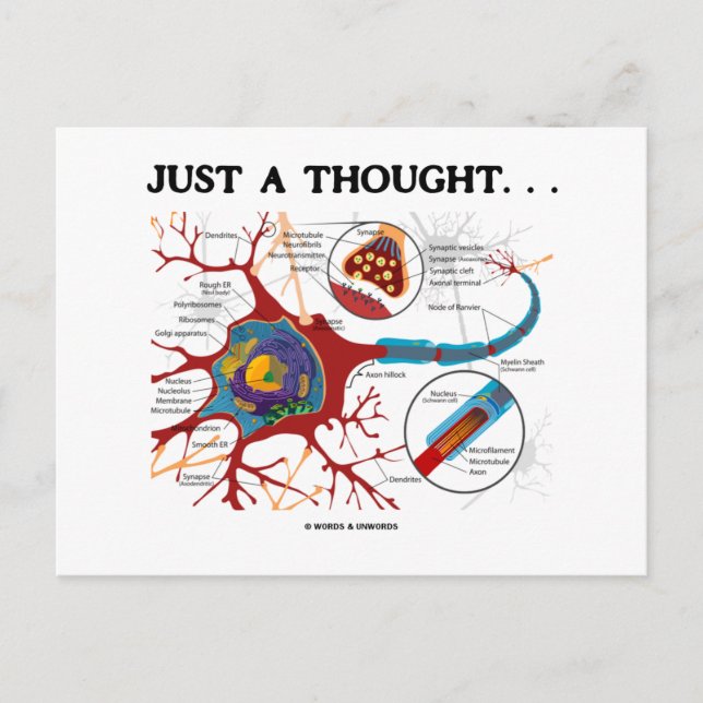 Just A Thought... (Neuron / Synapse) Postcard (Front)