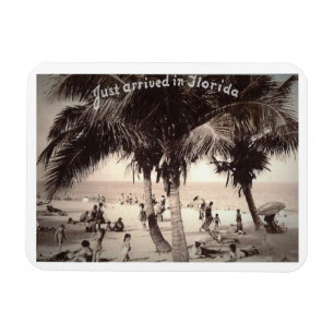 Just arrived in Florida! Vintage Magnet