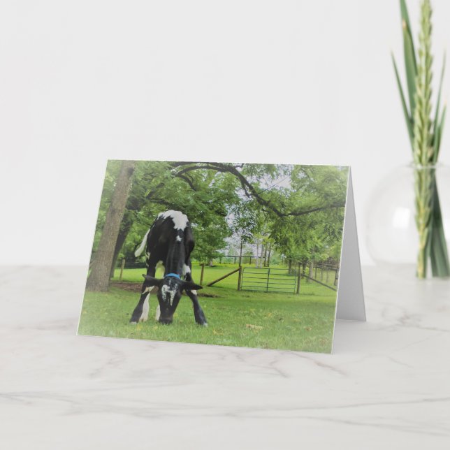 Just because card (Front)