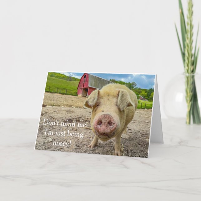 Just Being Nosey pig blank note card (Front)