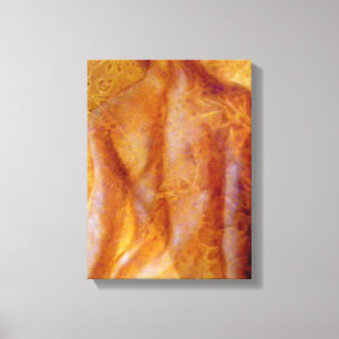 Just Beyond Canvas Print