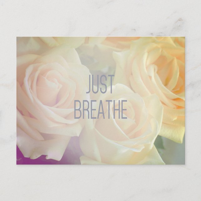 Just Breathe - Roses Postcard (Front)