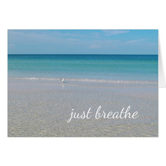 Just Breathe Sea Gull on the Beach (Front Horizontal)
