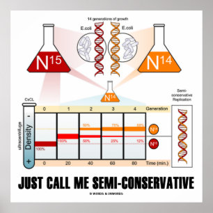 Just Call Me Semi-Conservative (DNA Replication) Poster
