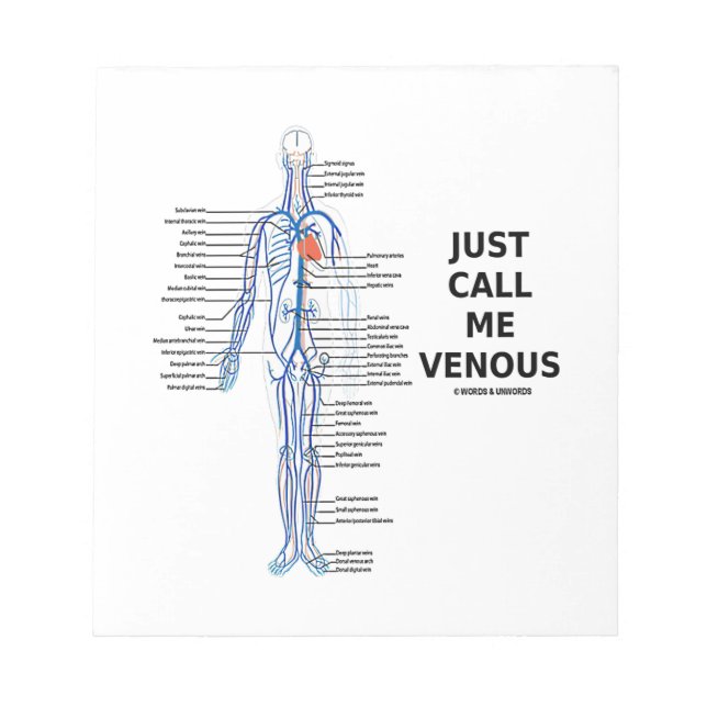Just Call Me Venous Veins Venous System Notepad (Front)