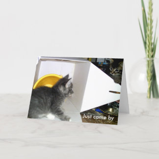 "Just came by to say I care" Kitten Card