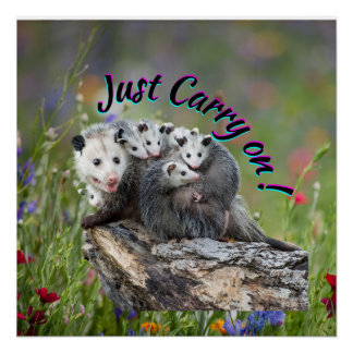 Just Carry On!   Poster