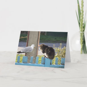 Just cats and kittens - blank card