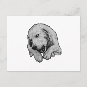 Just Checking In And Cheering Up Postcard