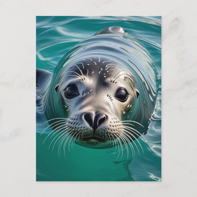 Just Checking in on You | Keeping in Touch Postcard (Front)