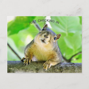 Just Checking In Postcard