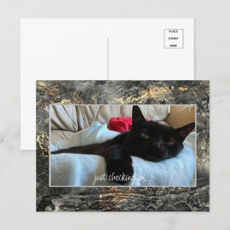 Just Checking In Postcard Black