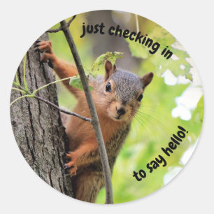 Just Checking In Stickers