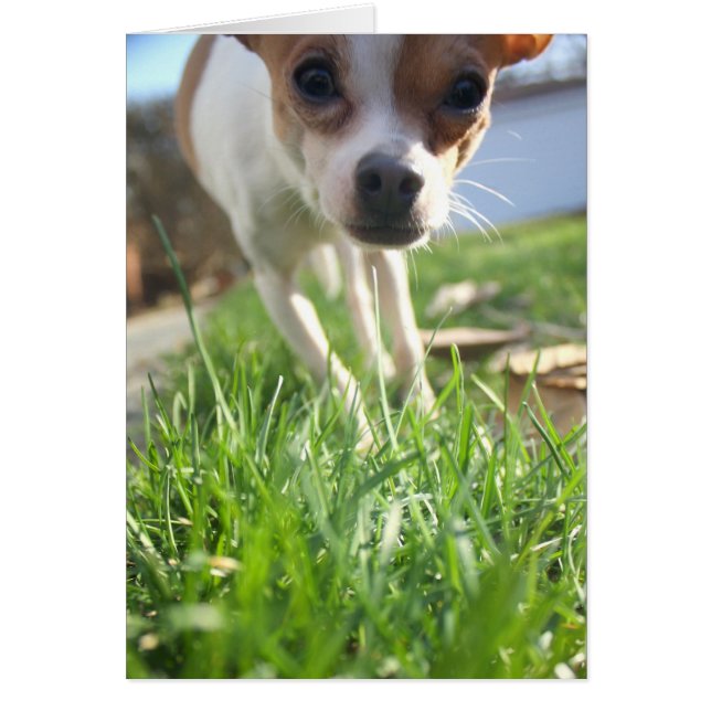 Just checking in to say hi! (Front)