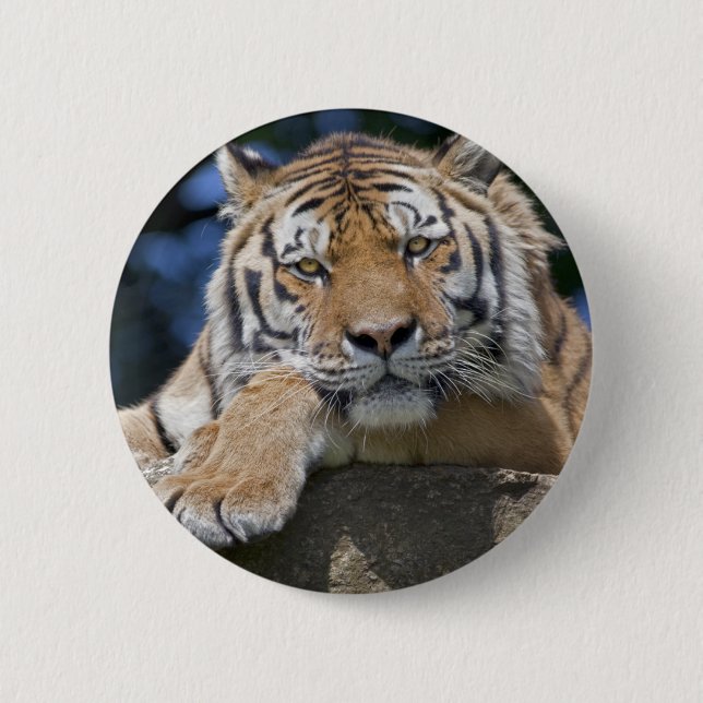 Just Chillin' Badge (Front)
