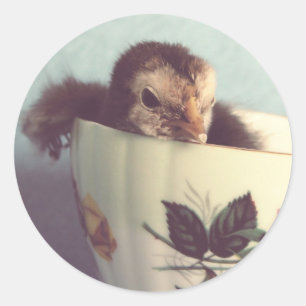 Just Chillin' Classic Round Sticker