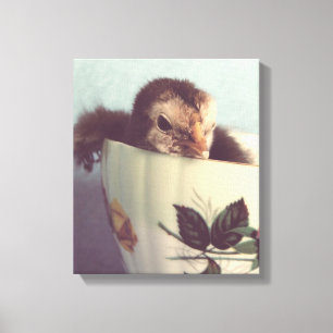 Just Chillin Here in This Teacup Canvas Print