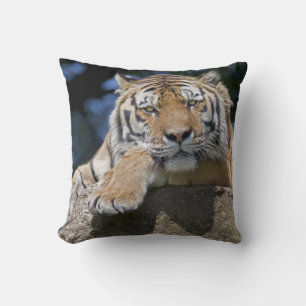 Just Chillin Pillow