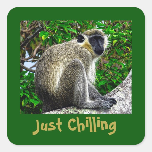 "Just Chilling" Green Monkey Print Square Sticker (Front)