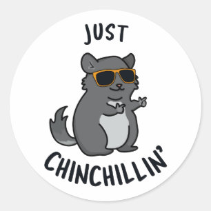 Just Chin-Chillin Funny Chinchilla Pun  Classic Round Sticker