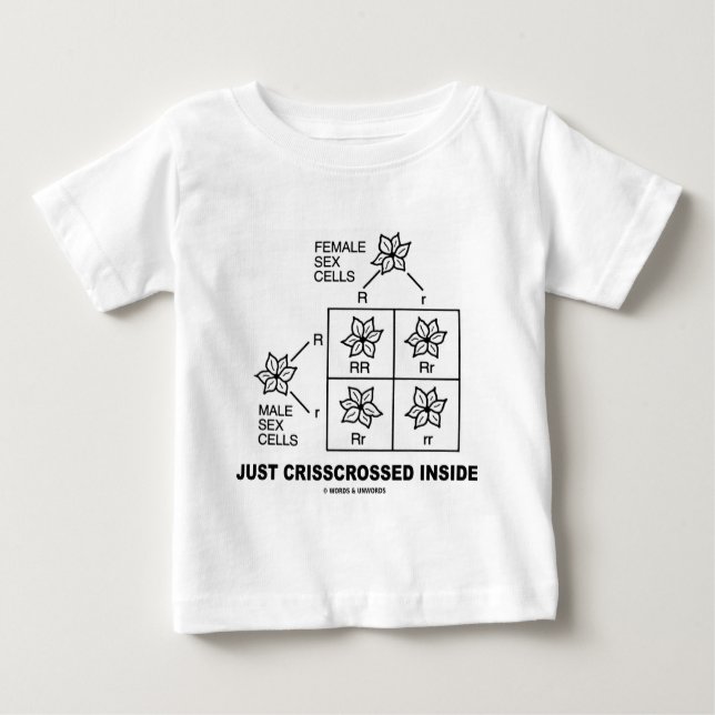 Just Crisscrossed Inside (Punnett Square Attitude) Baby T-Shirt (Front)