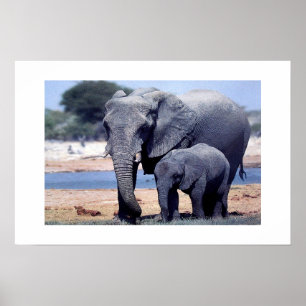 JUST ELEPHANTS POSTER