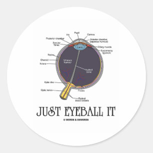 Just Eyeball It (Eye Anatomy Approximation Saying) Classic Round Sticker