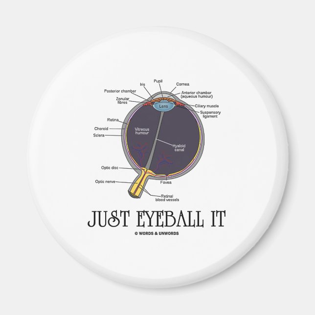 Just Eyeball It (Eye Anatomy Approximation Saying) Magnet (Front)