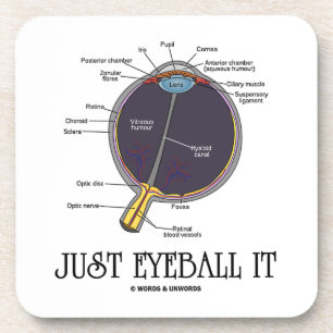 Just Eyeball It (Human Eye Anatomy) Coaster
