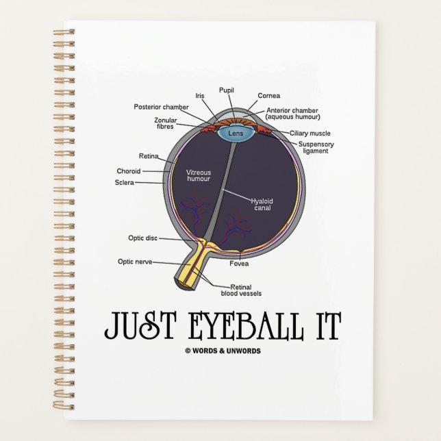 Just Eyeball It Human Eye Anatomy Geek Advice Planner (Front)