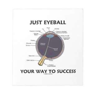 Just Eyeball Your Way To Success (Eye Anatomy) Notepad