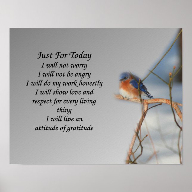 Just For Today Bluebird Inspirational Poster (Front)
